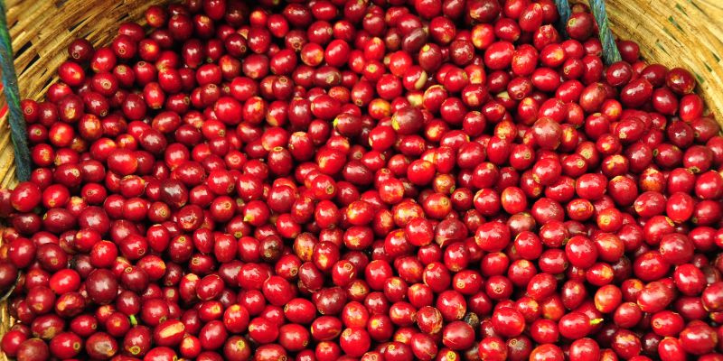 انواع قهوه کلمبیا
